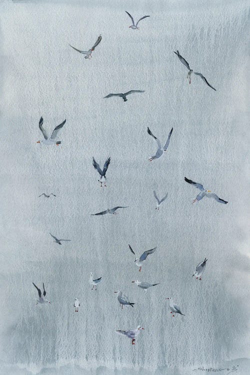 Bird Seagull by Bogdan Shiptenko wall art
