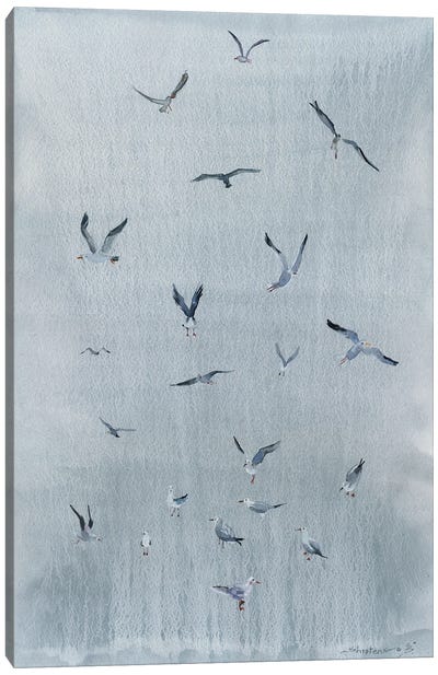 Bird Seagull Canvas Art Print - Gull & Seagull Art