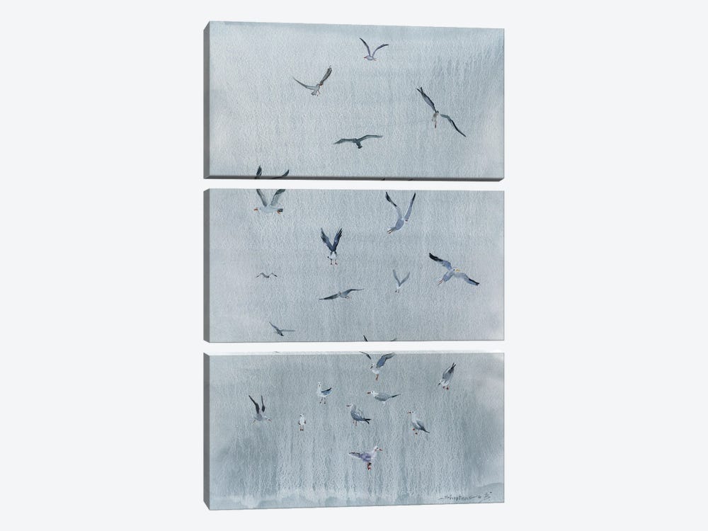 Bird Seagull by Bogdan Shiptenko 3-piece Canvas Print