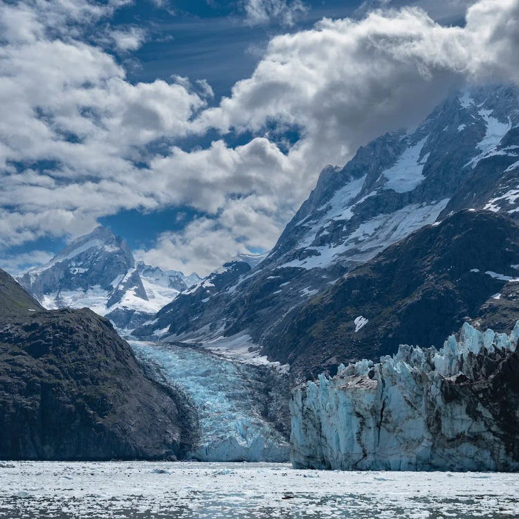High Mountains Surrounding Johns Hopkins Inlet Generate Numerous Glaciers