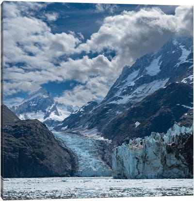 High Mountains Surrounding Johns Hopkins Inlet Generate Numerous Glaciers Canvas Art Print - Glacier & Iceberg Art