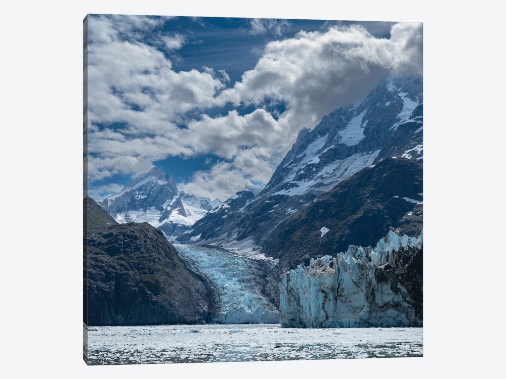 High Mountains Surrounding Johns Hopkins Inlet Generate Numerous Glaciers by Betty Sederquist 1-piece Art Print