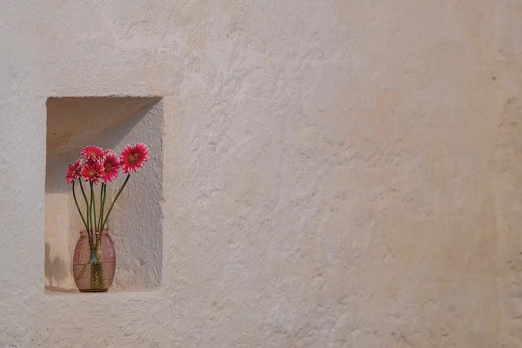 Simple Floral Tribute Growing A Niche In The Great Stone Walls Of Ballintubber Abbey, County Mayo, Ireland