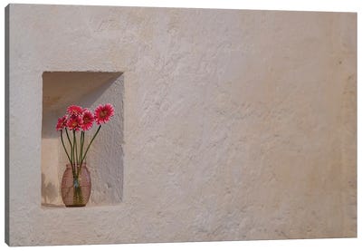 Simple Floral Tribute Growing A Niche In The Great Stone Walls Of Ballintubber Abbey, County Mayo, Ireland Canvas Art Print - Pottery Still Life