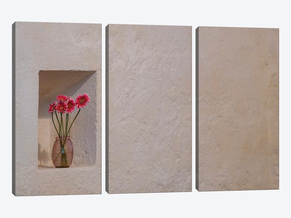 Simple Floral Tribute Growing A Niche In The Great Stone Walls Of Ballintubber Abbey, County Mayo, Ireland by Betty Sederquist 3-piece Canvas Art
