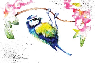 Blue Tit by BebesArts framed canvas print
