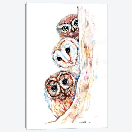 Peeping Owls Canvas Print #BSR103} by BebesArts Canvas Print