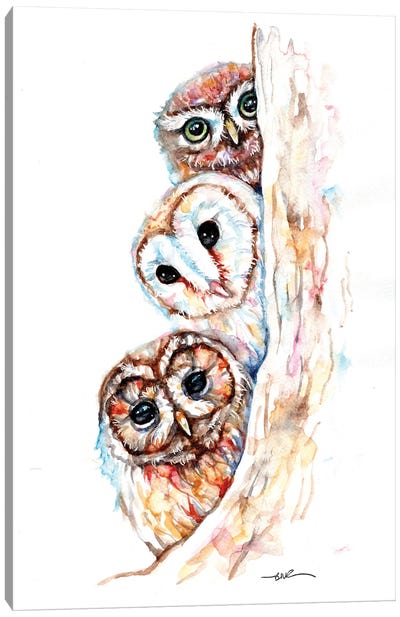 Peeping Owls Canvas Art Print
