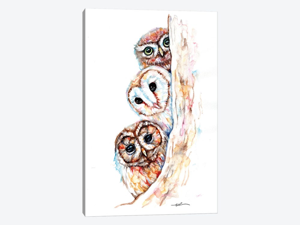 Peeping Owls by BebesArts 1-piece Canvas Art Print