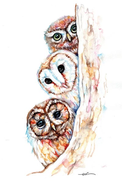 Cabin & Lodge Décor: Peeping Owls by BebesArts