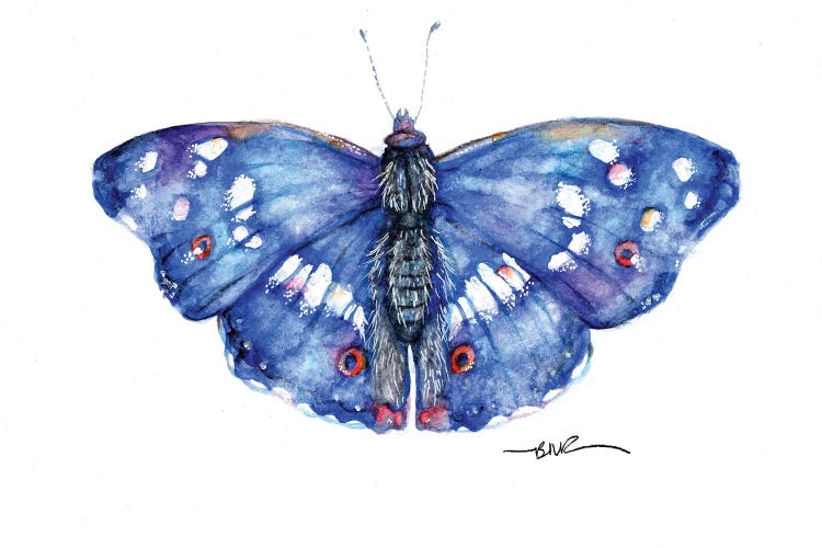 Purple Emperor by BebesArts wall art