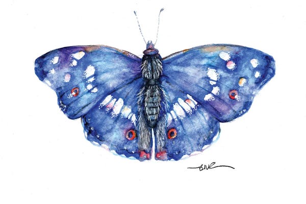 Purple Emperor