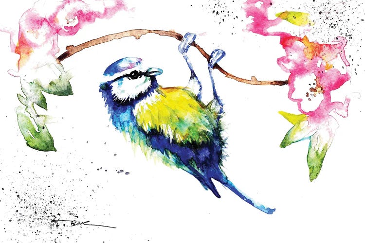 Blue Tit by BebesArts wall art