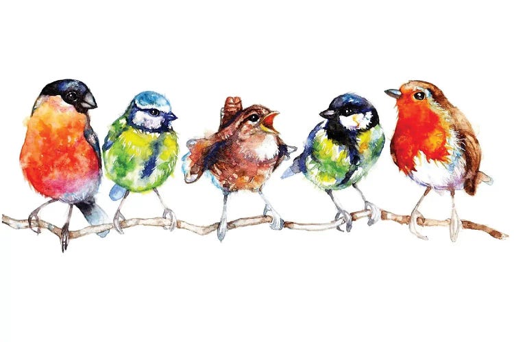 Birds In A Row