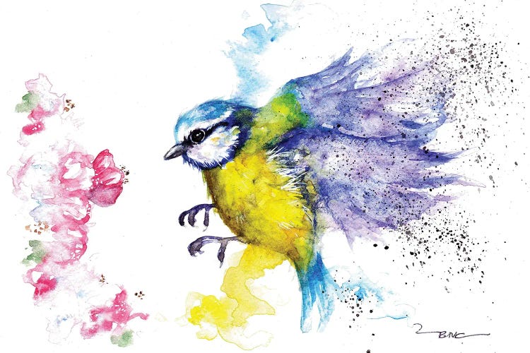 Blue Tit And Blossom by BebesArts wall art