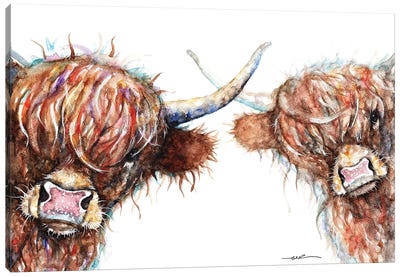 Curious Highland Cows Canvas Art Print - Highland Cow Art