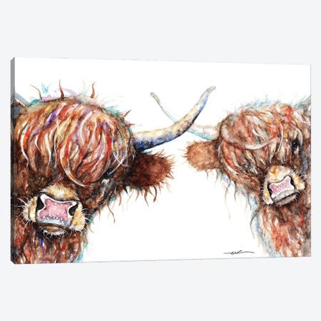 Curious Highland Cows Canvas Print #BSR16} by BebesArts Canvas Wall Art
