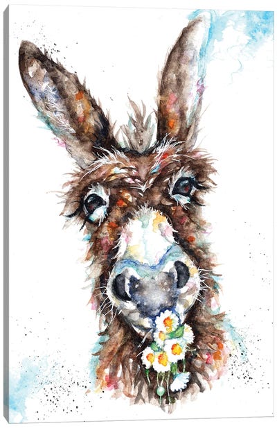 Daisy Canvas Art Print - Donkey Art