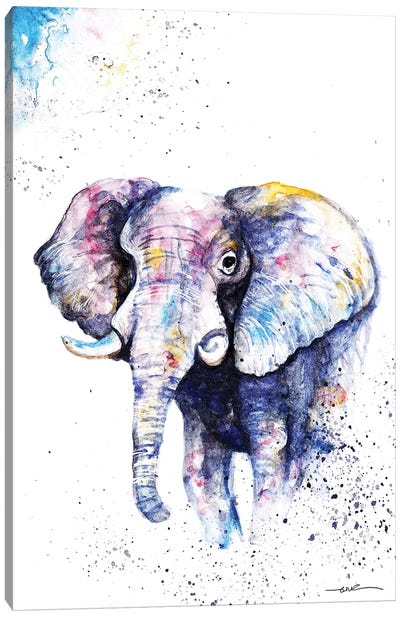 Elephant Never Forgets Canvas Art Print - BebesArts