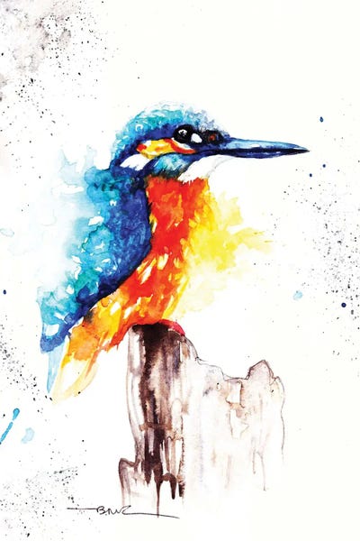 Kingfisher II