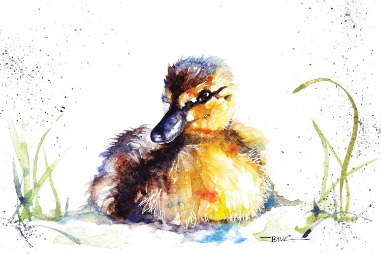 Little Duckling