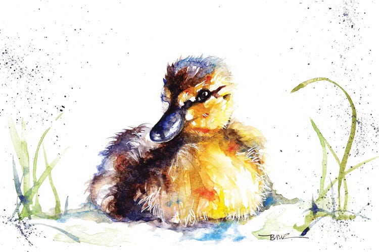 Little Duckling by BebesArts wall art