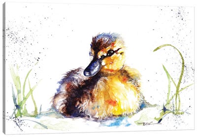 Little Duckling Canvas Art Print - Duck Art