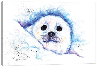 Pup Canvas Art Print - Seal Art