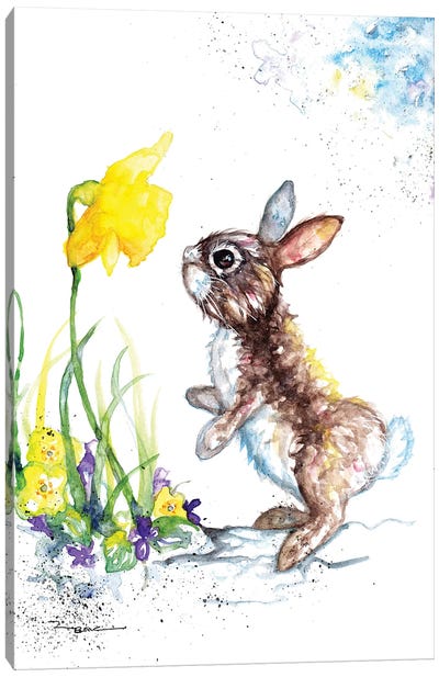 Rabbit And Daffodil Canvas Art Print - Easter