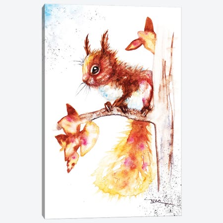 Red Squirrel I Canvas Print #BSR68} by BebesArts Canvas Wall Art