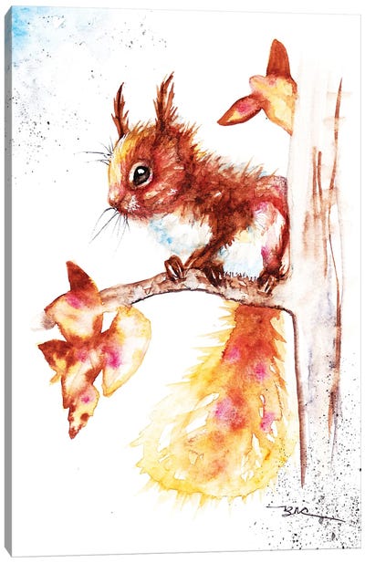 Red Squirrel I Canvas Art Print - Squirrel Art
