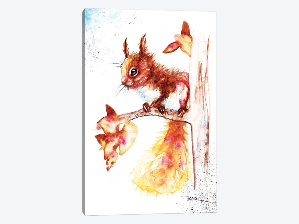 Red Squirrel I by BebesArts 1-piece Canvas Artwork