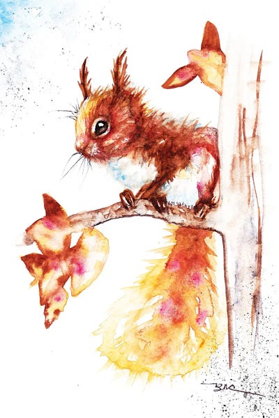 Squirrels: Red Squirrel I by BebesArts