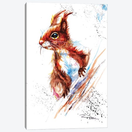 Red Squirrel II Canvas Print #BSR69} by BebesArts Canvas Wall Art