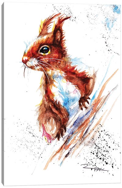 Red Squirrel II Canvas Art Print - BebesArts