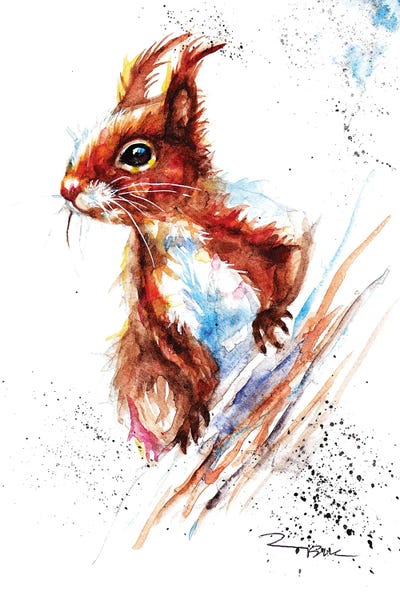 Rodents: Red Squirrel II by BebesArts