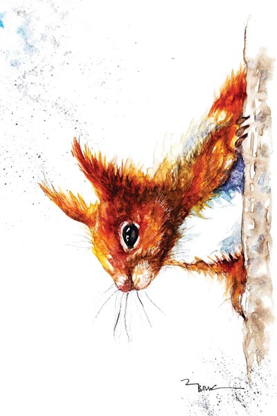 Red Squirrel III by BebesArts metal wall art