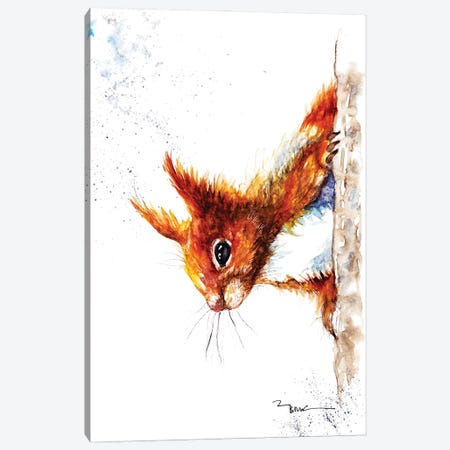 Red Squirrel III Canvas Print #BSR70} by BebesArts Canvas Print