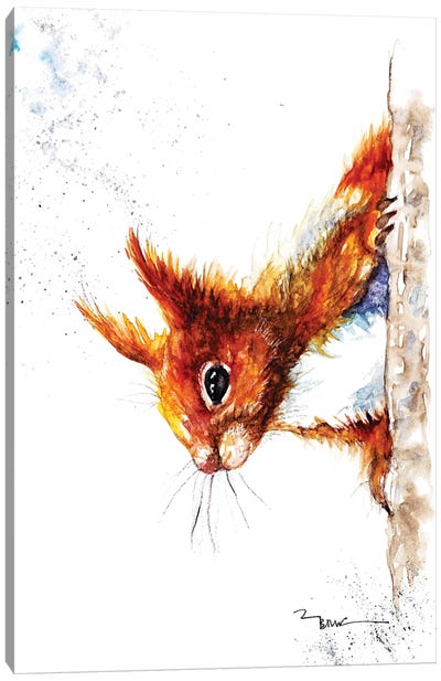Red Squirrel III Canvas Art Print - BebesArts