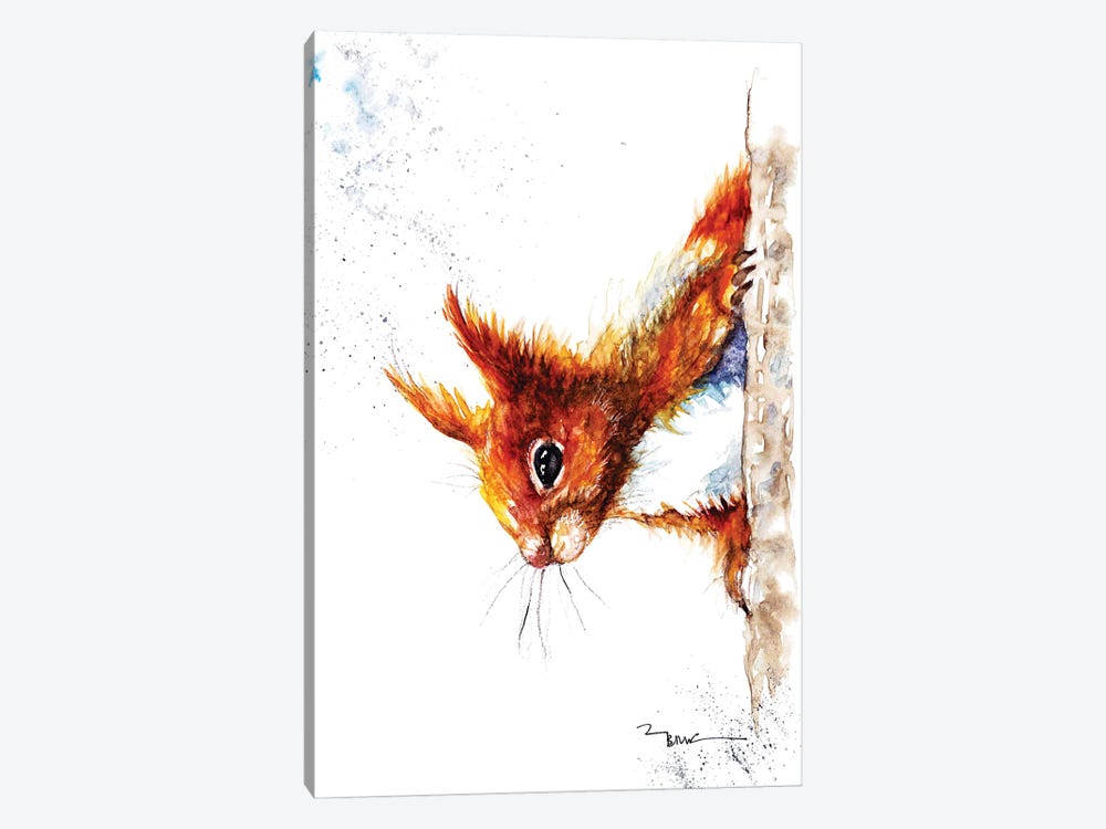 Red Squirrel III by BebesArts 1-piece Canvas Art Print