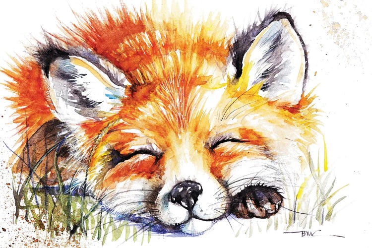 Sleeping Fox