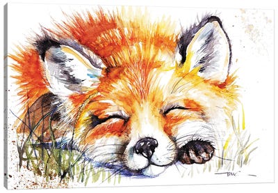 Sleeping Fox Canvas Art Print - BebesArts