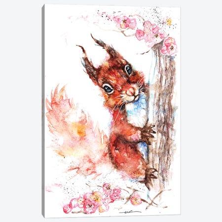 Squirrel And Blossom Canvas Print #BSR77} by BebesArts Canvas Art
