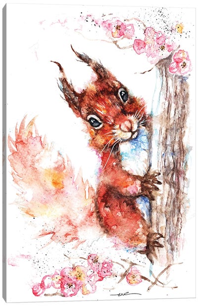 Squirrel And Blossom Canvas Art Print - BebesArts