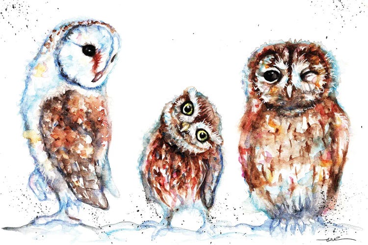 Trio Of Owls by BebesArts wall art