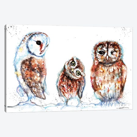 Trio Of Owls Canvas Print #BSR86} by BebesArts Canvas Print