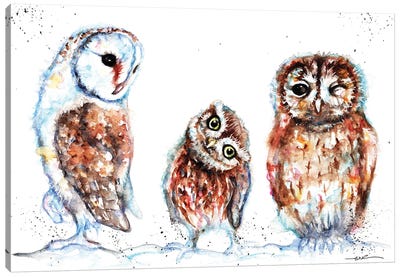 Trio Of Owls Canvas Art Print - BebesArts