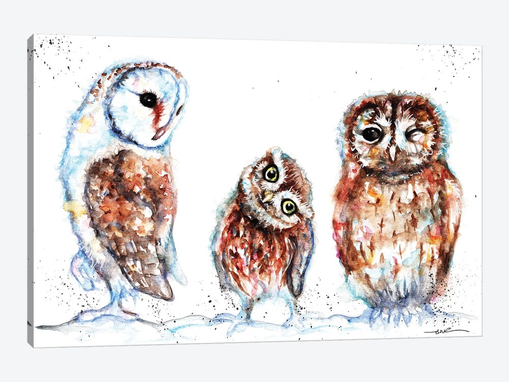 Trio Of Owls by BebesArts 1-piece Canvas Artwork