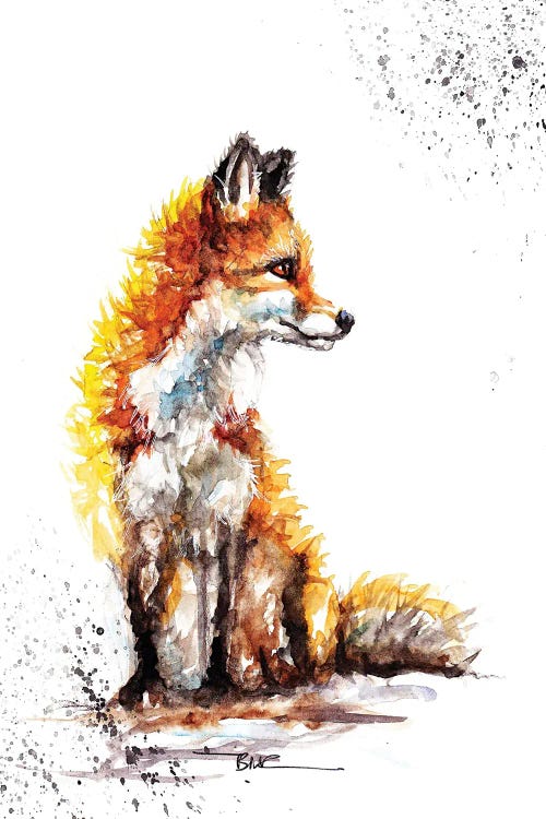 Watchful Fox by BebesArts wall art