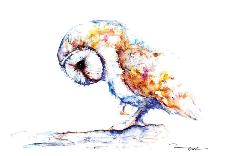 White Velvet by BebesArts wall art